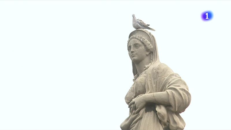 L'Ajuntament i el Port de Tarragona, contra la plaga de coloms