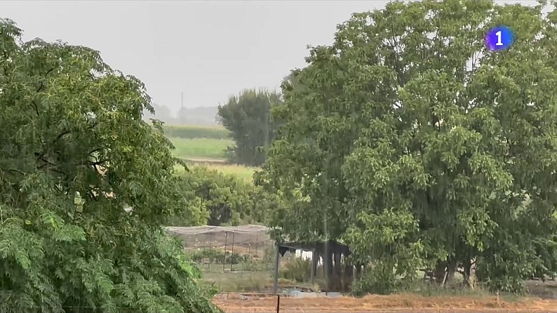 L'Informatiu 2 - 27/08/2025