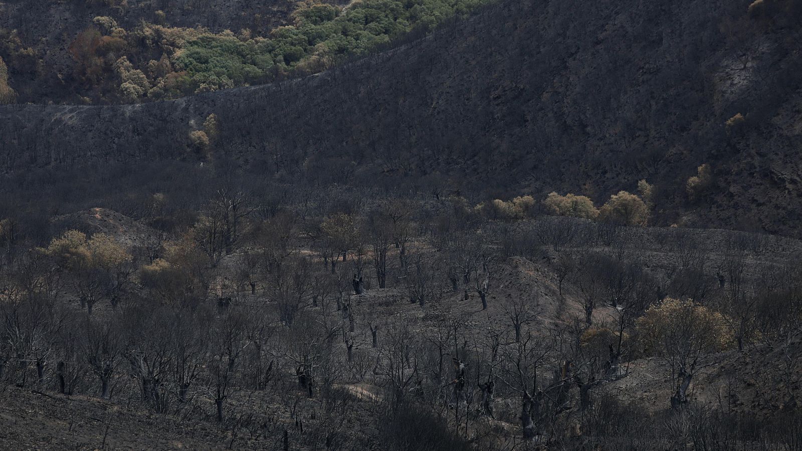 Realojados los cinco pueblos evacuados en Zamora por el incendio de Porto - Telediario 1 | Ver