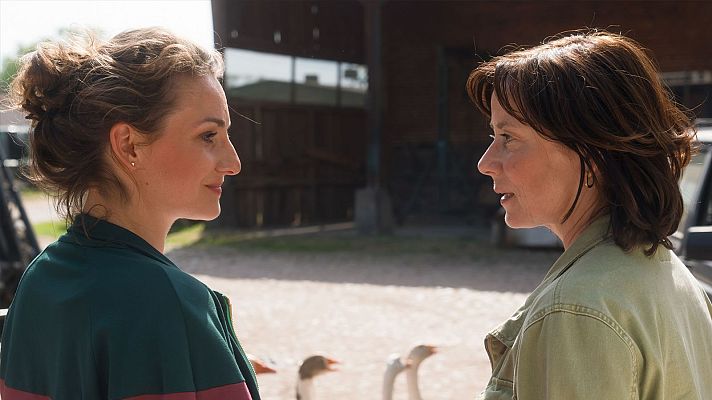 Cine internacional - Herz y Holly. Diagnóstico cambio de aires