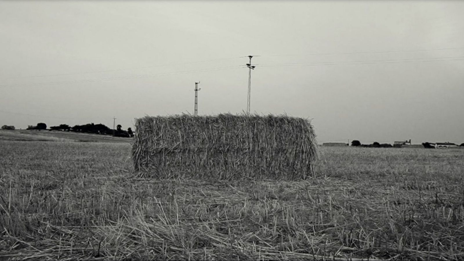 Paca de heno rectangular en campo con rastrojos tras la cosecha.  Dos postes eléctricos, uno con focos, al fondo con línea eléctrica que los une y árboles en la distancia.