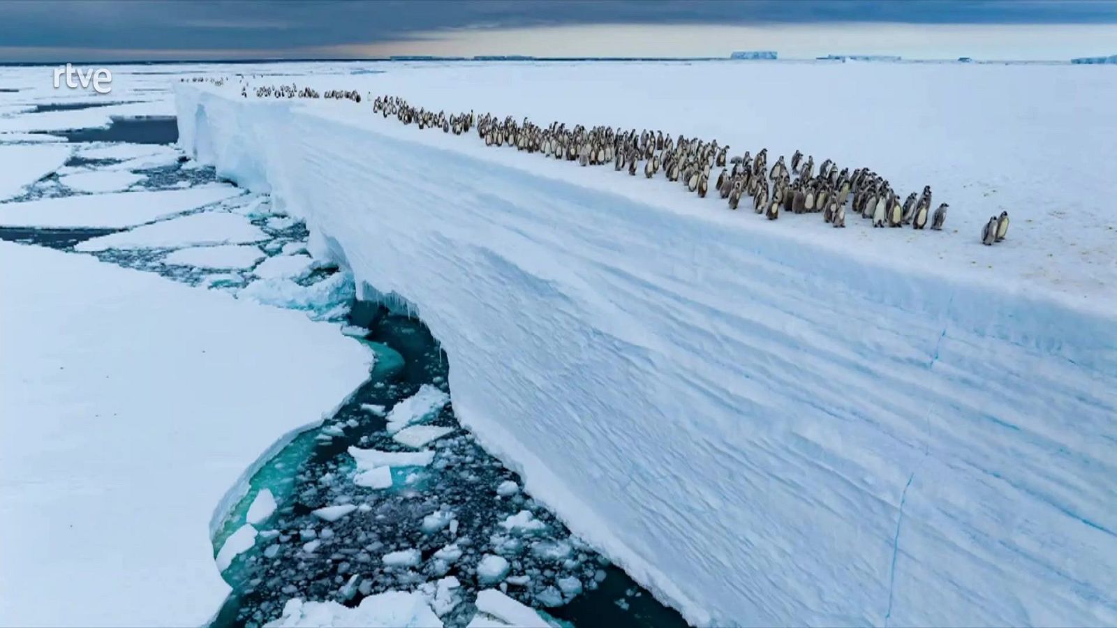 Informativo 24 horas - 20h - 28/08/25 - Informativo 24h | Ver