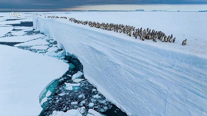 Informativo 24h - Informativo 24 horas - 20h - 28/08/25