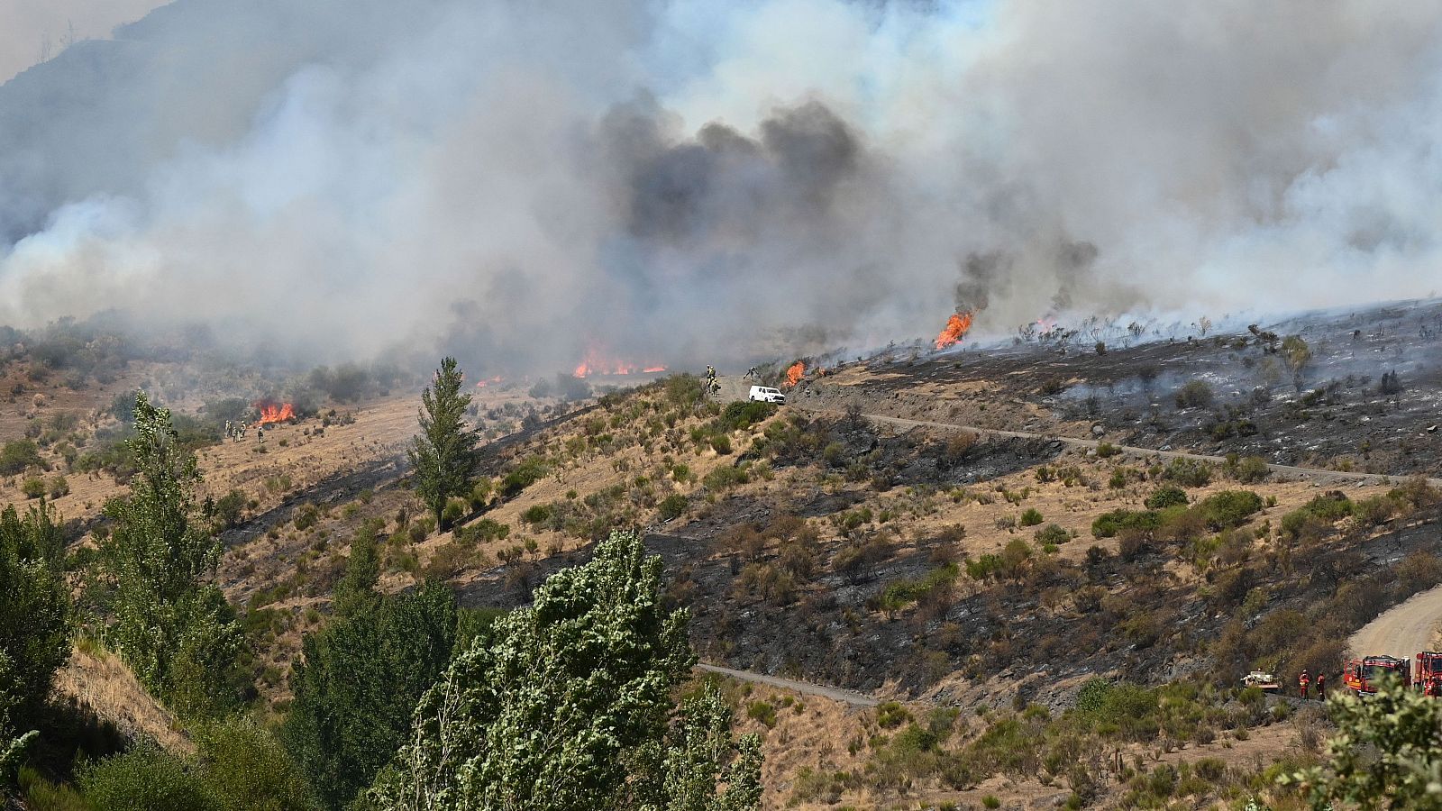 Telediario - 8 horas - 29/08/25 - Lengua de signos - Telediario en lengua de signos | Ver