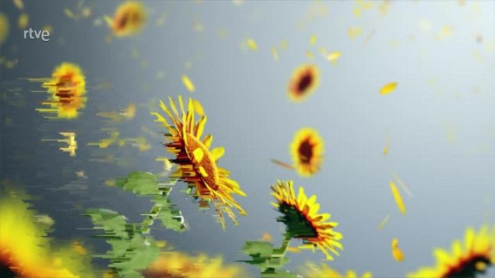 El temps - Cap de setmana tranquil, però amb un nou canvi abans d'acabar l'agost