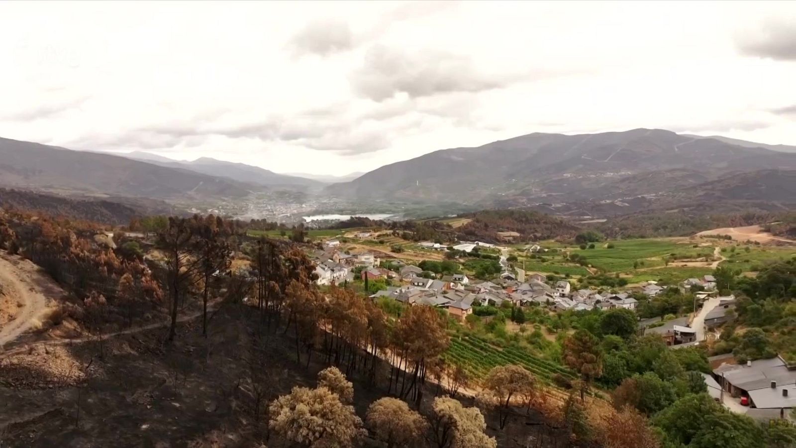 Informativo 24 horas - 14h - 29/08/25 - Informativo 24h | Ver