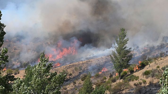 Telediario Matinal - Telediario matinal en 4' - 30/08/2025