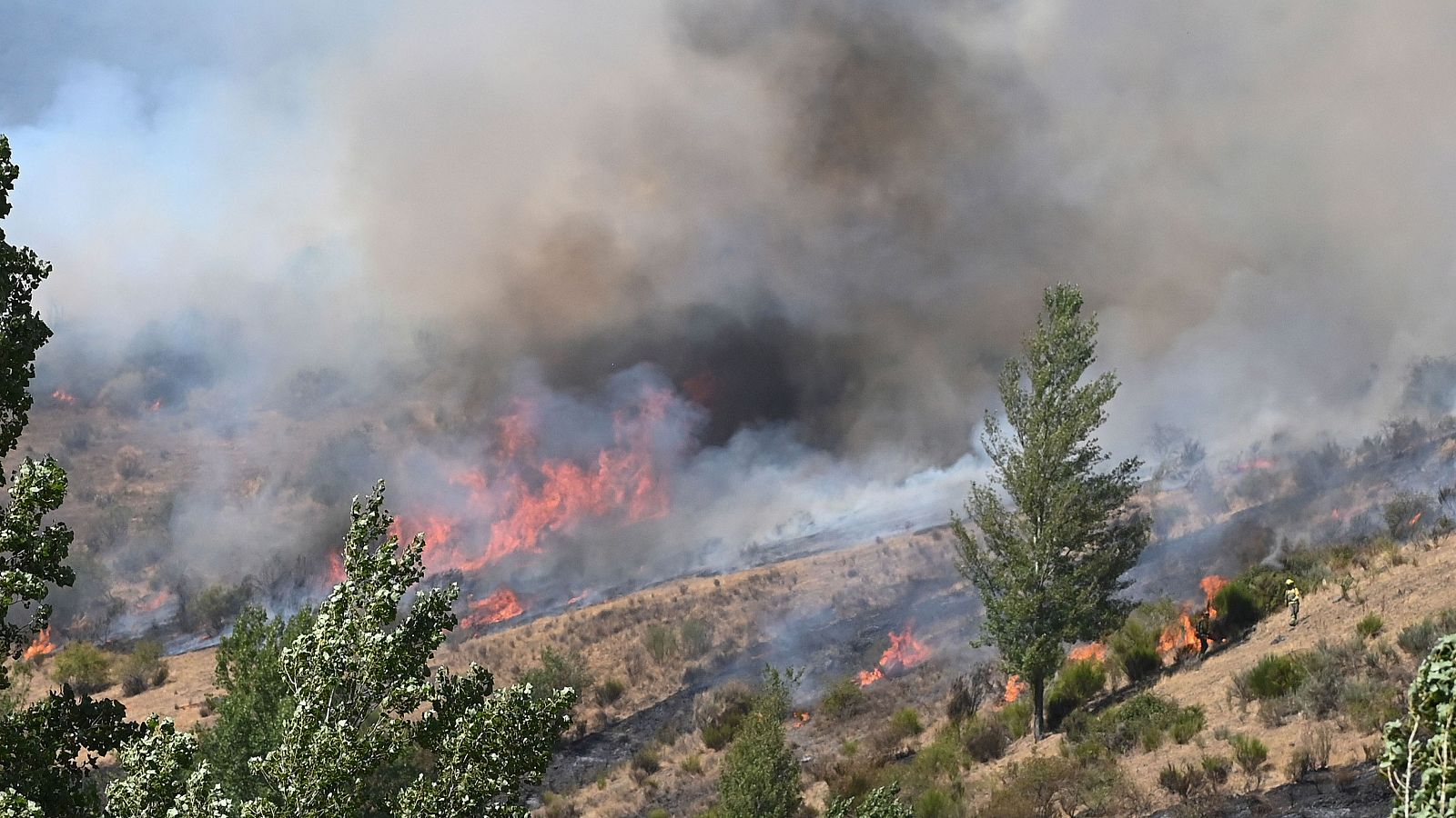 Informativo 24 horas - 14h - 30/08/25 - Fin de semana 24h | Ver