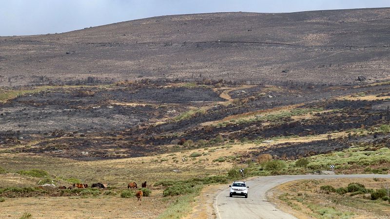 Zamora revive con la oleada de incendios de agosto la pesadilla del fuego en Sierra Culebra
