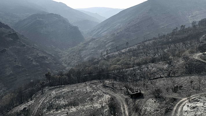 Informe Semanal - Tierra quemada