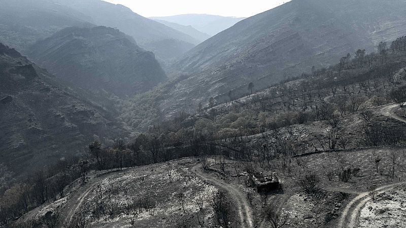 Informe semanal - Tierra quemada | Ver