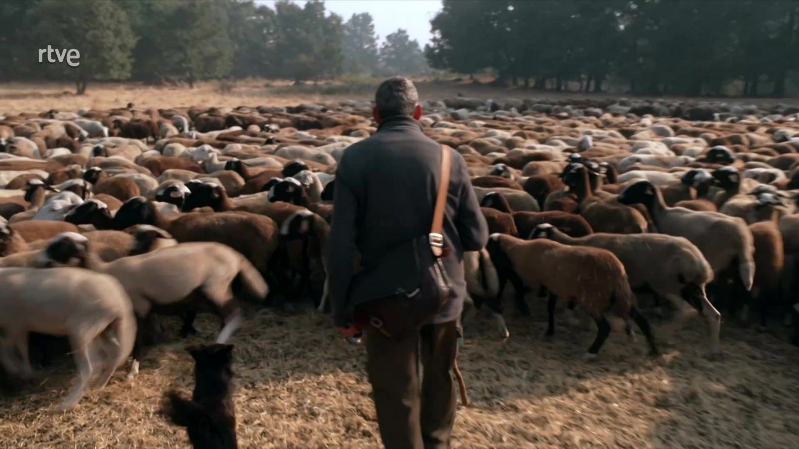 Informe semanal - 30/08/25 - Informe Semanal | Ver