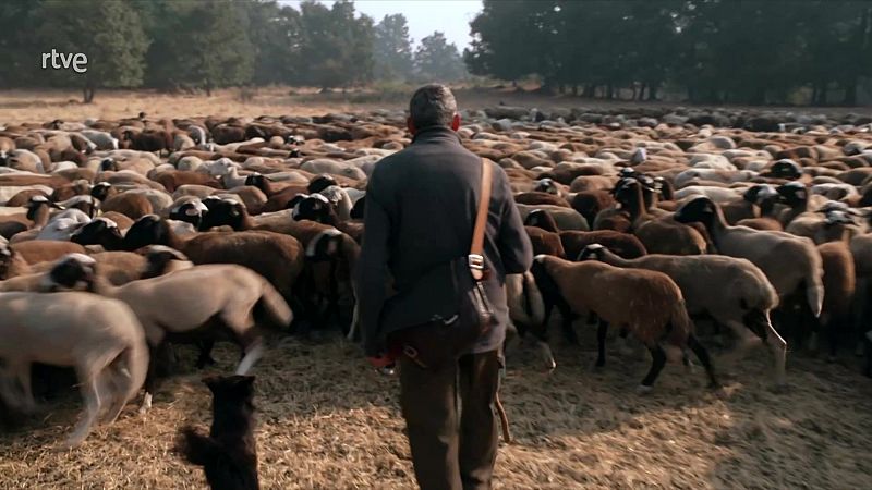 Informe semanal - 30/08/25 - Informe Semanal | Ver