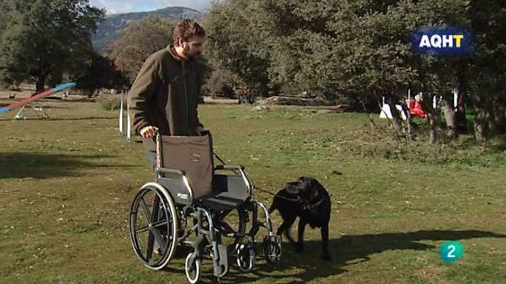 Aquí hay trabajo - Aquí hay trabajo - 21/01/13