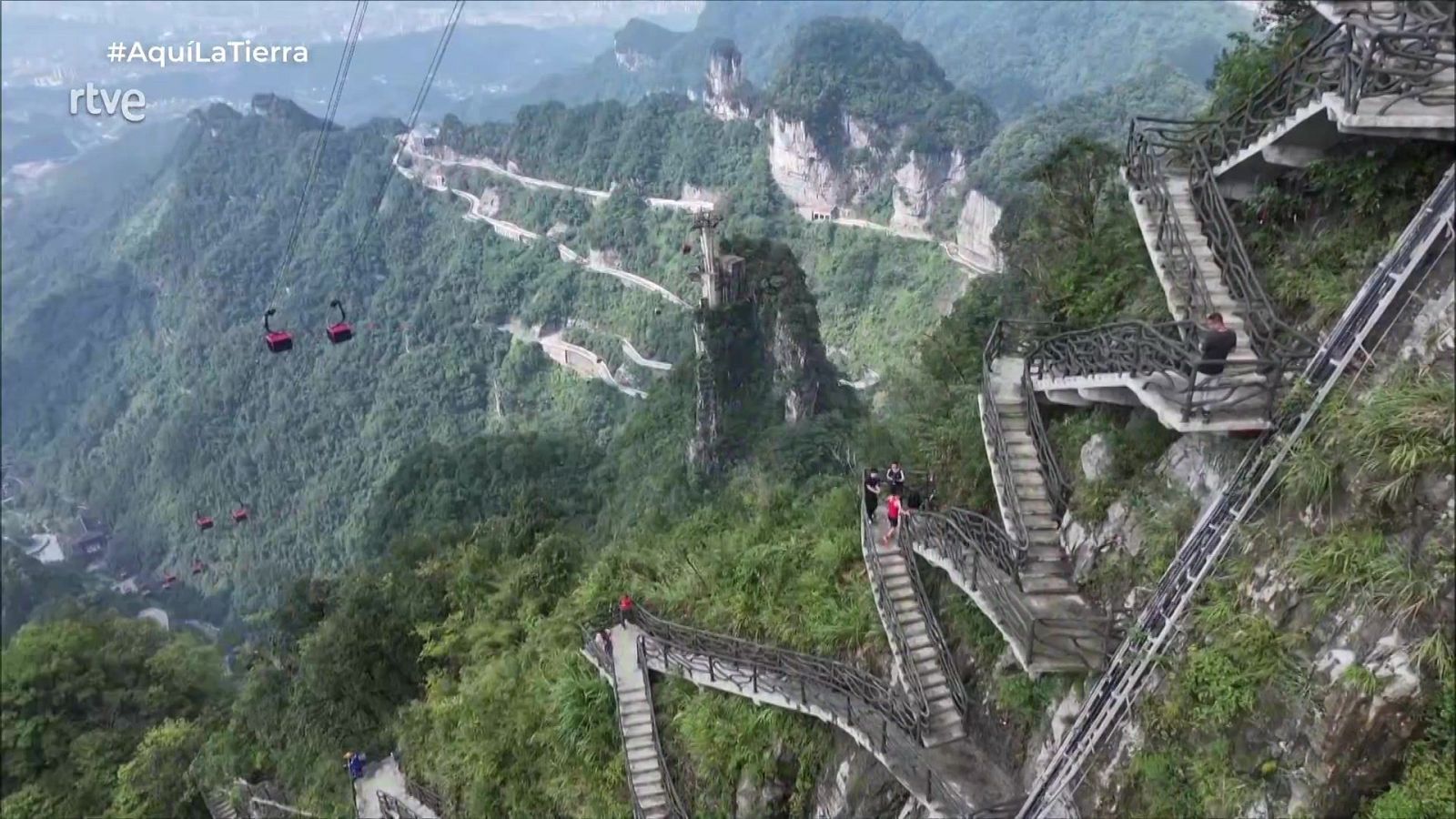 Aquí la Tierra - 31/08/25 - Aquí la Tierra | Ver