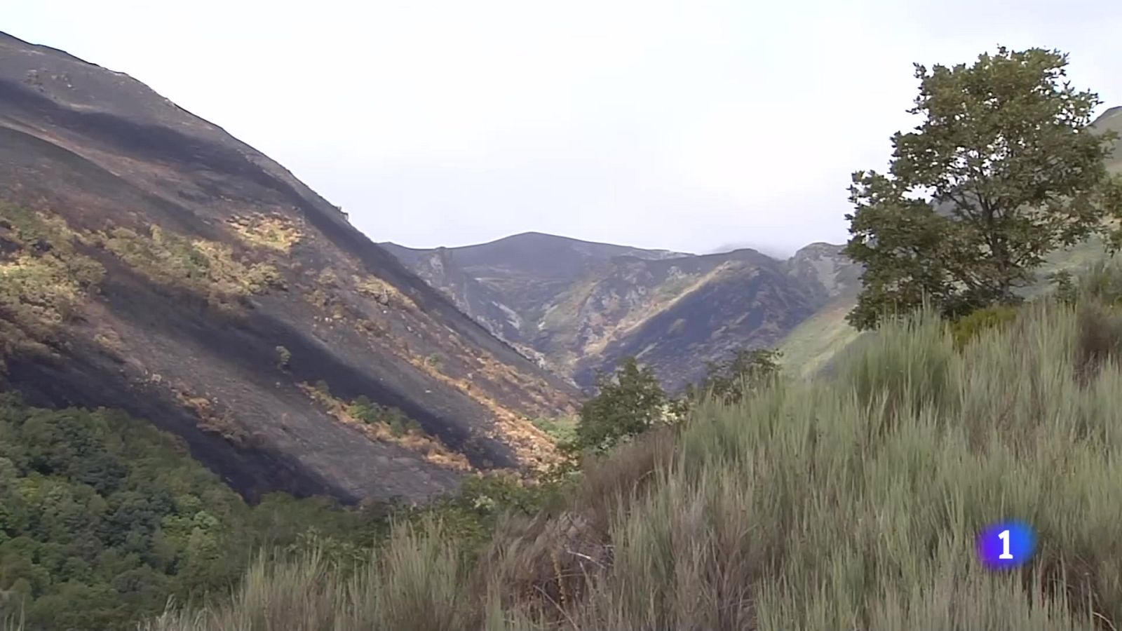 Castilla y León en 1' | Ver