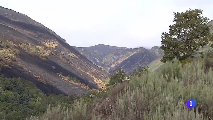 Noticias de Castilla y León - Castilla y León en 1' - 01/09/25