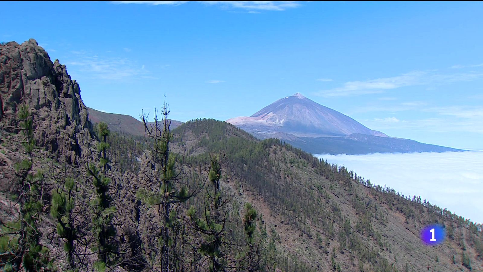 Canarias en 2' - 01/09/2025 | Ver
