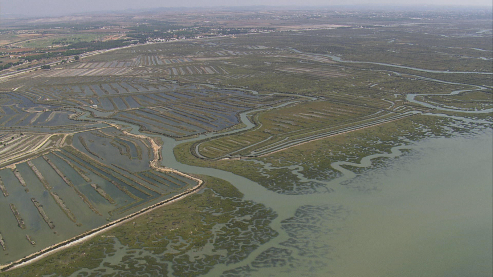 PARQUE NATURAL BAHÍA DE CÁDIZ - Noticias Andalucía | Ver