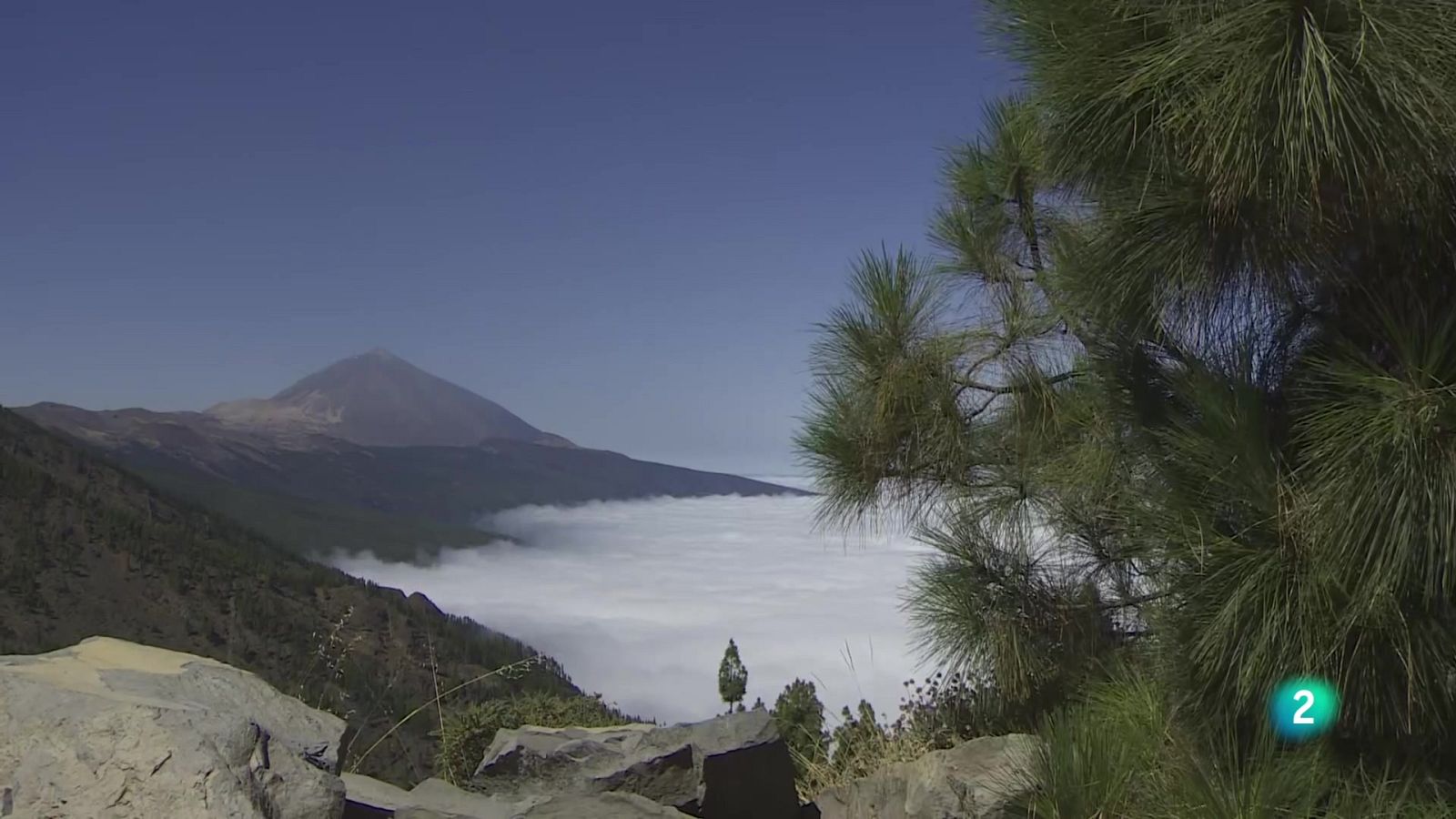 Telecanarias Tarde - 01/09/2025 | Ver