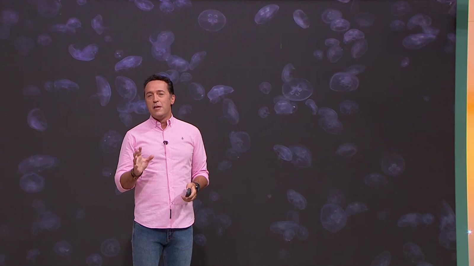 Aquí la Tierra - 01/09/25 - Aquí la Tierra | Ver