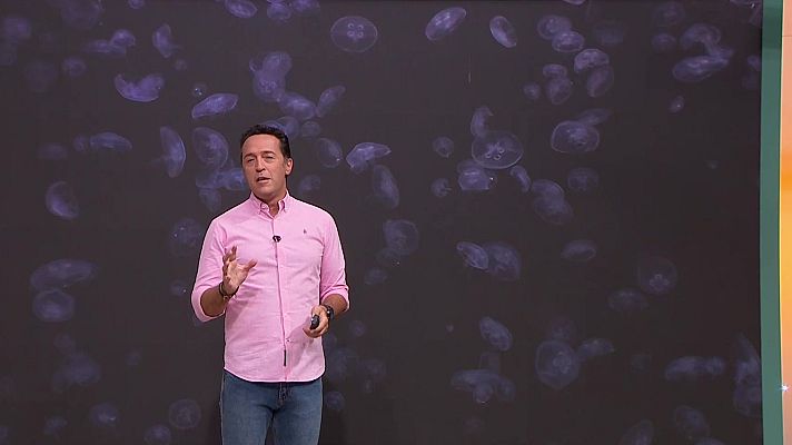 Aquí la Tierra - Aquí la Tierra - 01/09/25