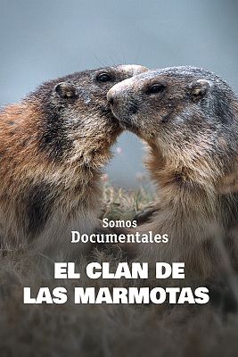 El clan de las marmotas