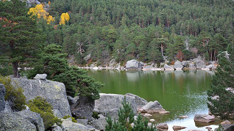 País Vasco, Burgos o Soria: el ejemplo de cómo una buena gestión forestal disminuye el riesgo de incendios