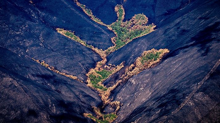 Telediario 2 - "Ya no se puede limpiar el monte" y otros bulos sobre los incendios