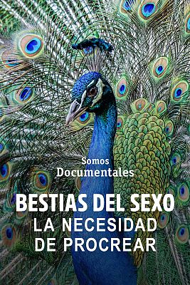 Bestias del sexo: la necesidad de procrear