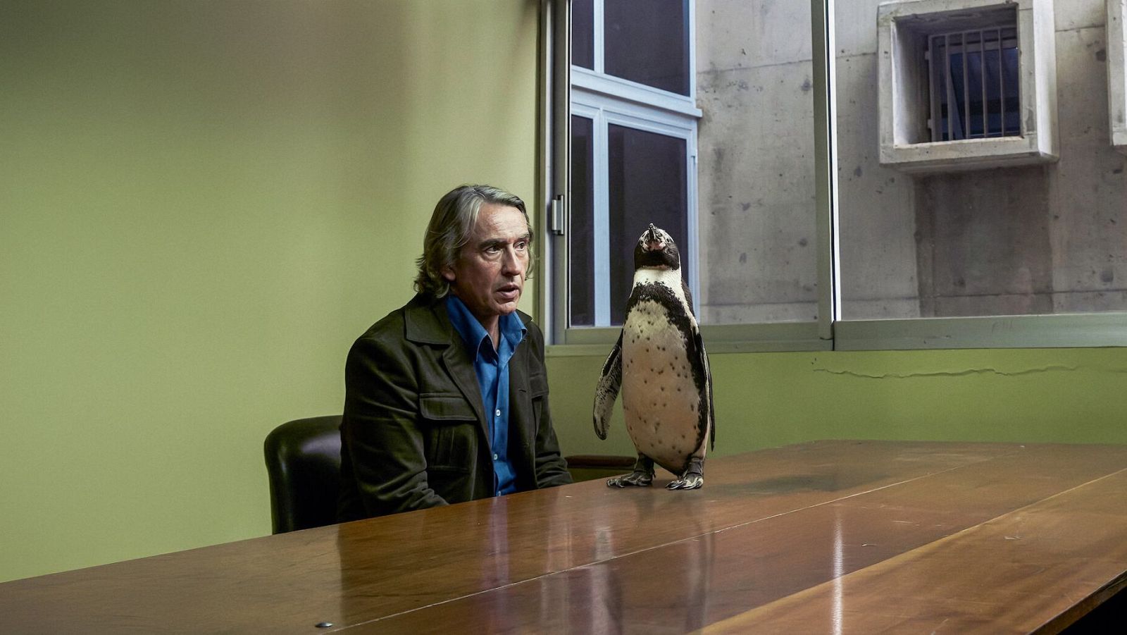 Días De Cine: Lo que aprendí de mi pingüino. | Ver