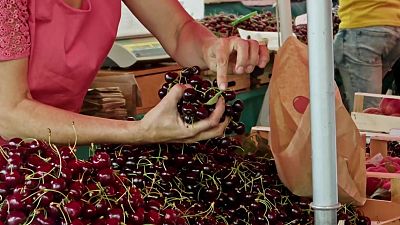 Mercados del mundo. En la panza de la ciudad - Liubliana - Mercados del mundo. En la panza de la ciudad | Ver