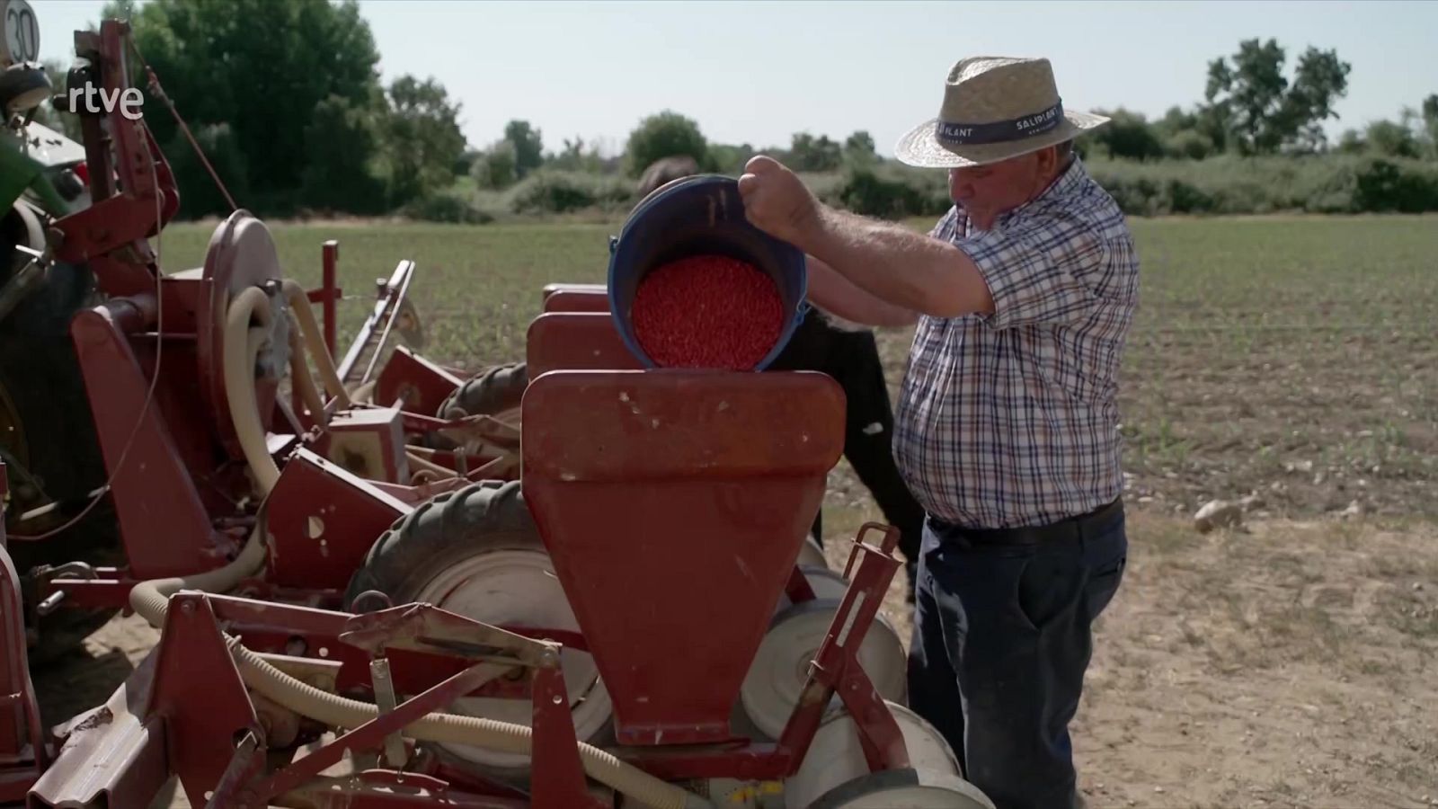 Informe semanal - Colonos, entre el mito y el olvido | Ver