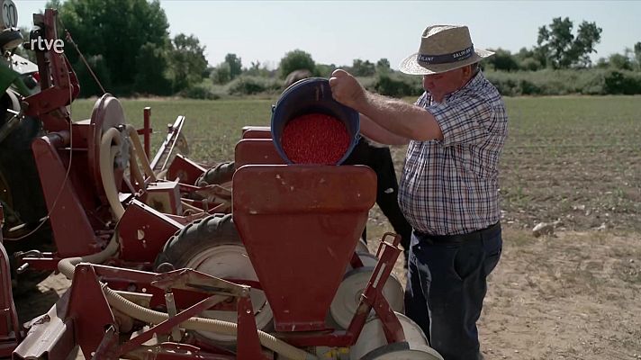 Informe Semanal - Colonos, entre el mito y el olvido