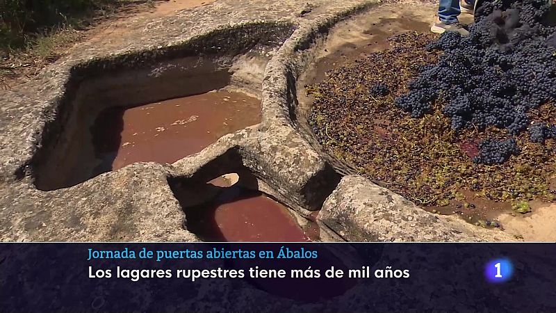 Informativo Telerioja 08-09-2025 Ver ahora | Ver