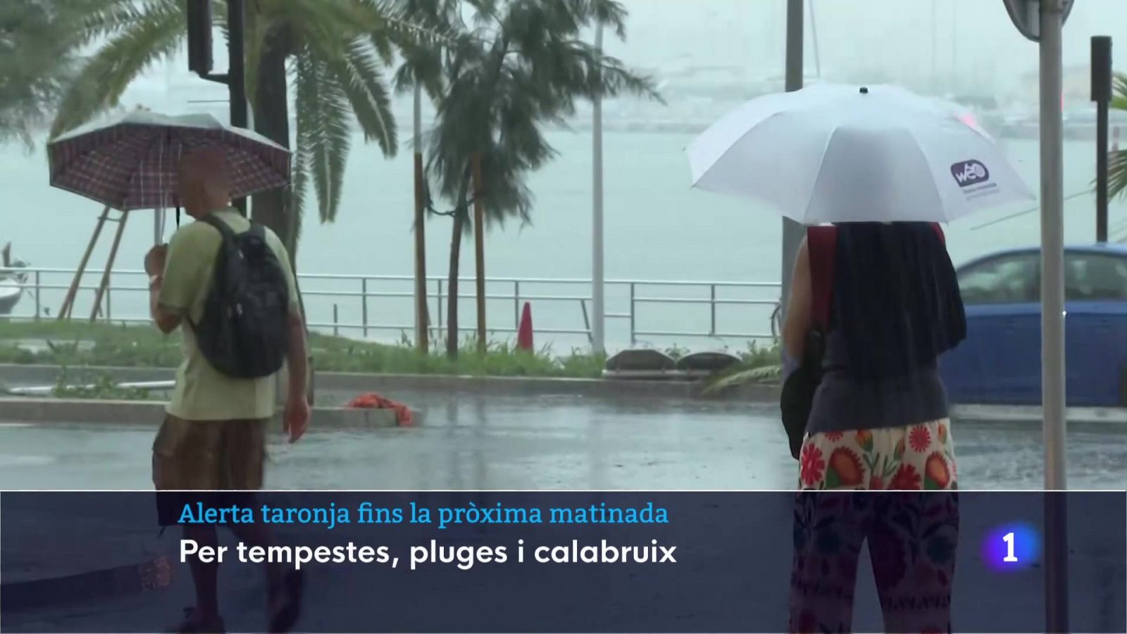 Informatiu Balear en 2' - 09/09/25 | Ver