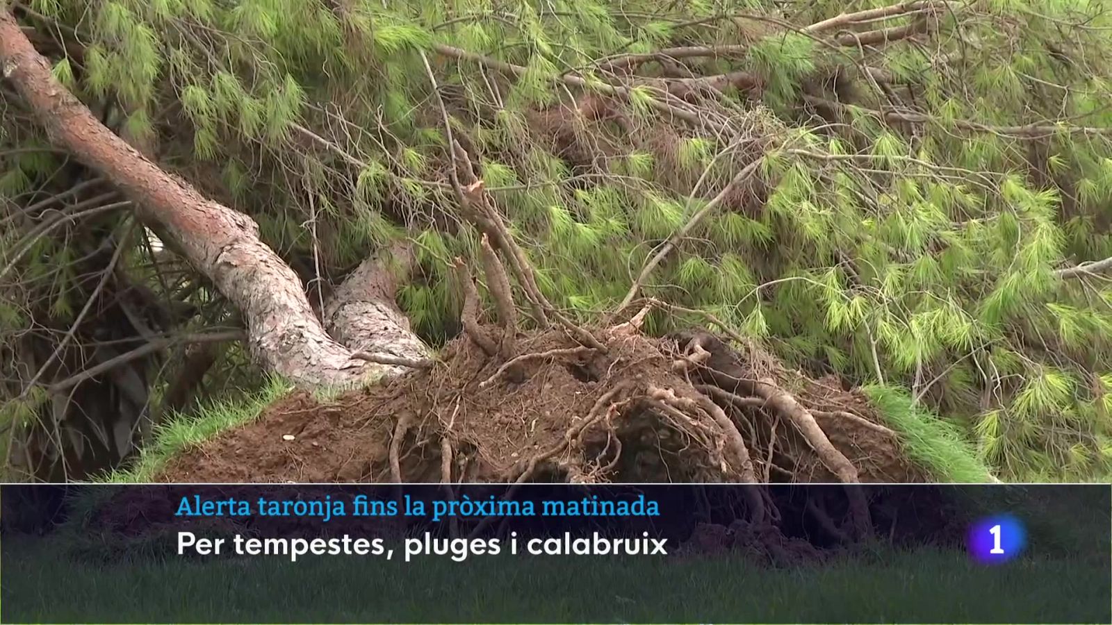 Informatiu Balear 1 - 09/09/25 Veure ara