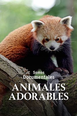 Animales adorables
