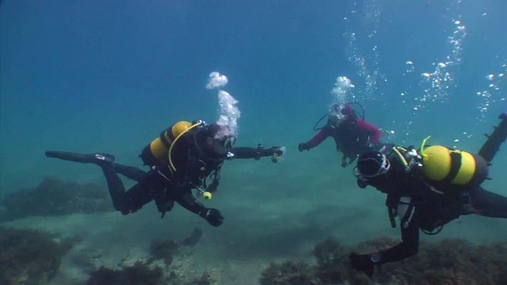 Para todos La 2 - La Red de Vigilantes Marinos ha organizado una limpieza simultánea en más de cuarenta puntos del litoral español