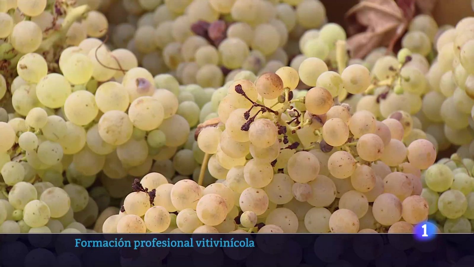 Telerioja en 2 - 10-09-2025 - Ver ahora | Ver