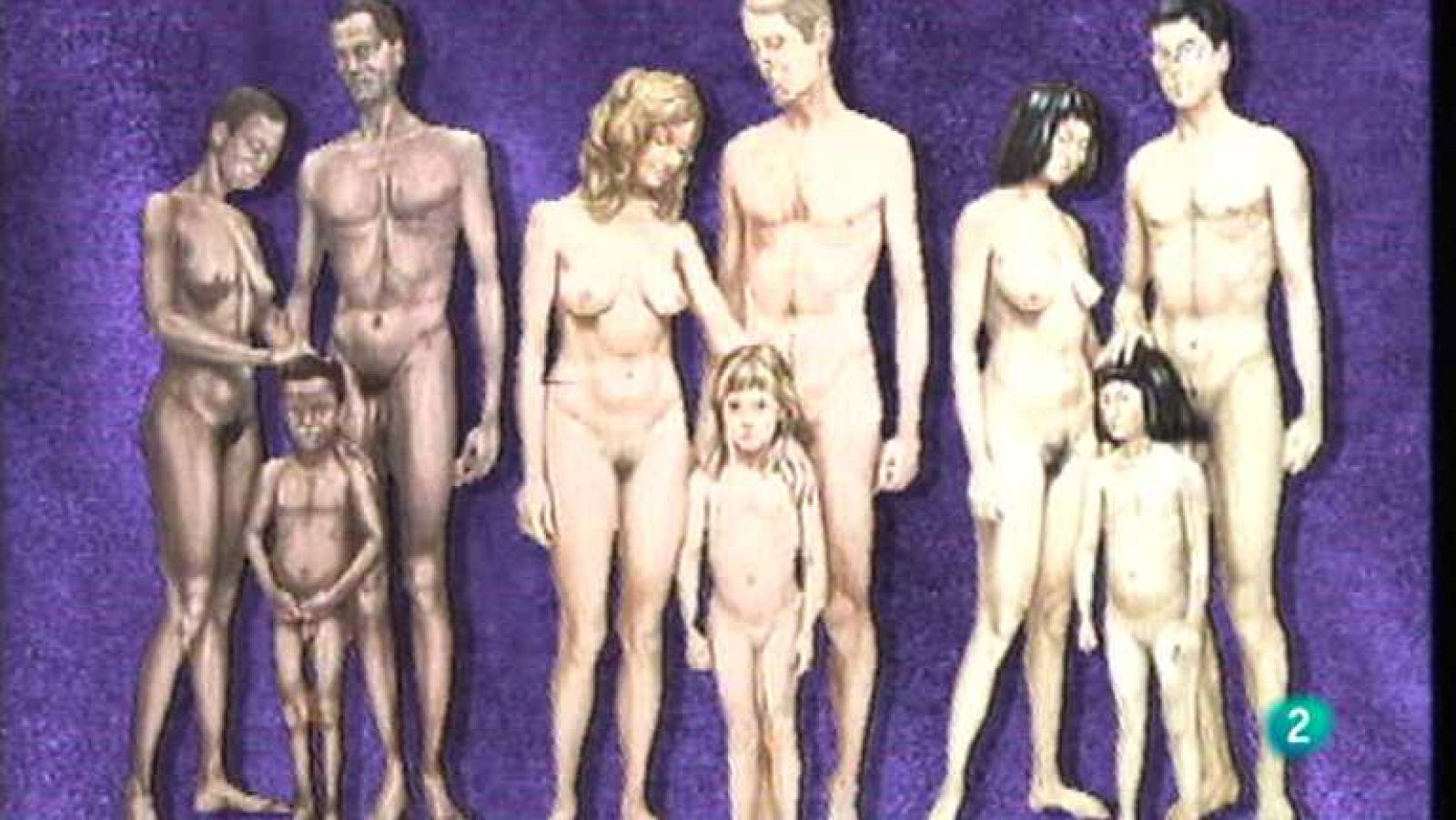 La aventura del saber - 22/01/13 - Ver ahora