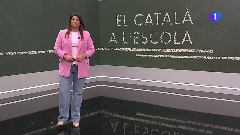 El TSJC anul·la part del decret que blinda el català com a llengua vehicular a l’escola