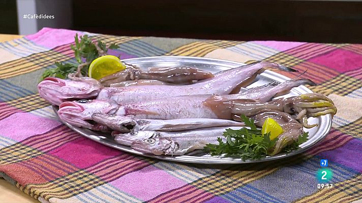 Cafè d'idees - Ada Parellada reivindica el peix de proximitat