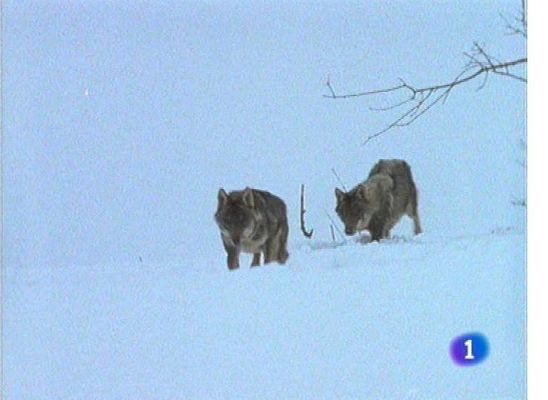 Panorama Regional - Panorama Regional 2 - 22/01/13