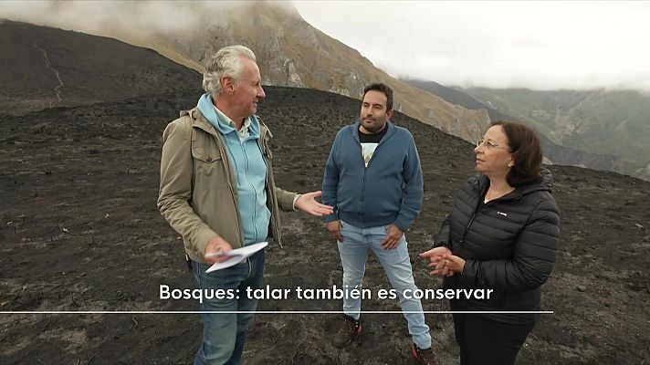 Objetivo Planeta - Bosques: talar también es conservar