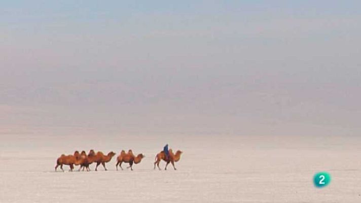 Grandes documentales - El imperio de los camellos