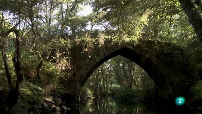 Biodiario - Biodiario - 22/01/13