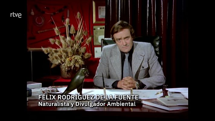 La aventura del Saber - Félix, cien años después