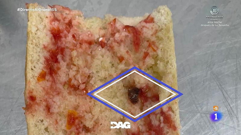 Reportaje de 'Directo al grano': la residencia de los horrores