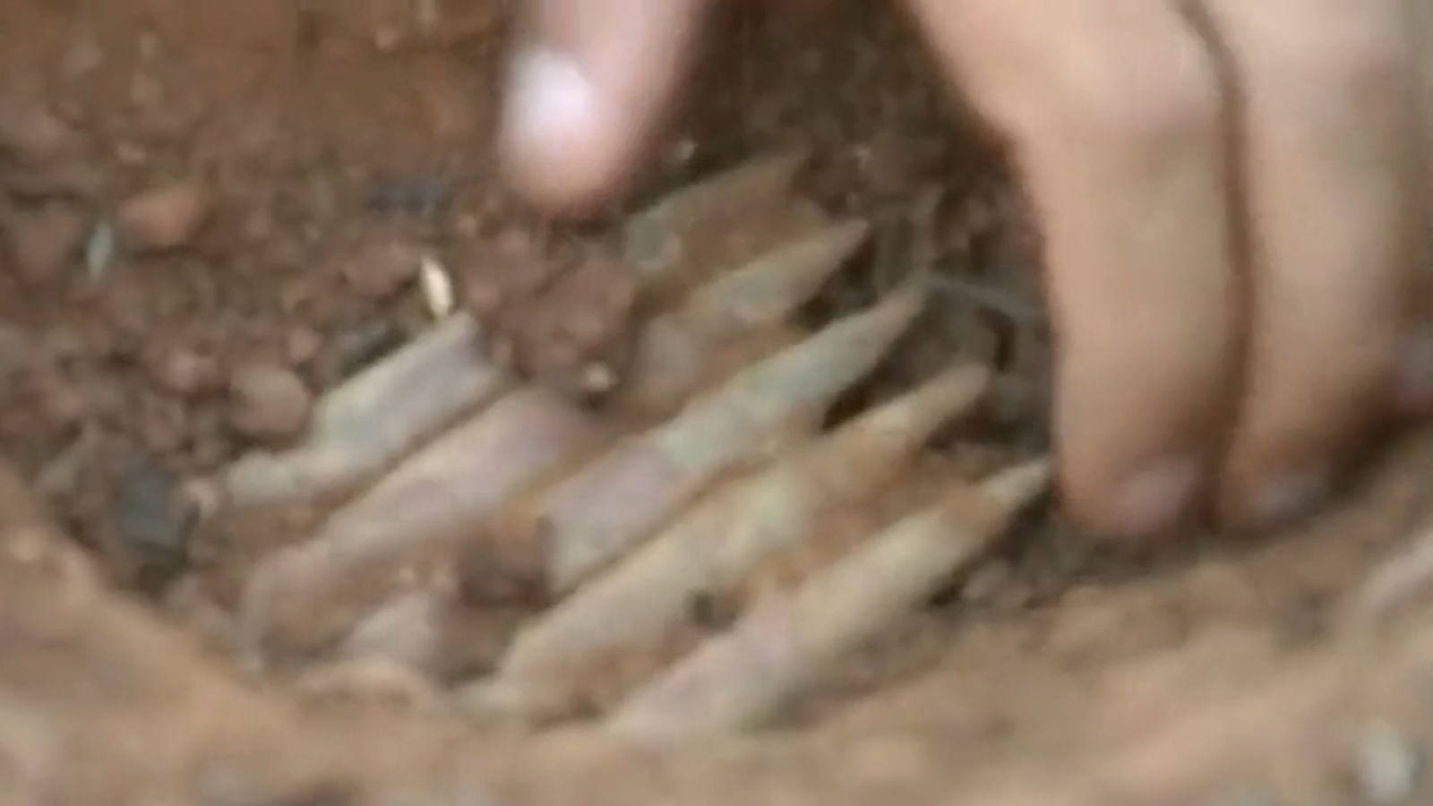 Exhumación de la fosa de Enebrá Socarrá (Abánades, Guadalajara) | Ver ahora